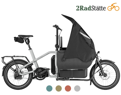 E-Bike von Riese&Müller: Carrie2 (Lastenrad, Kindertransport)