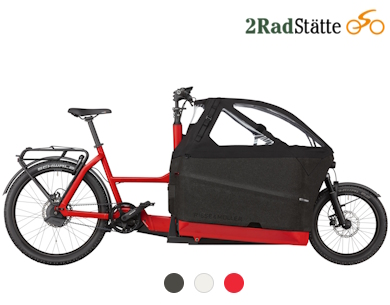 E-Bike von Riese&Müller: Packster (Lastenrad, Kindertransport)